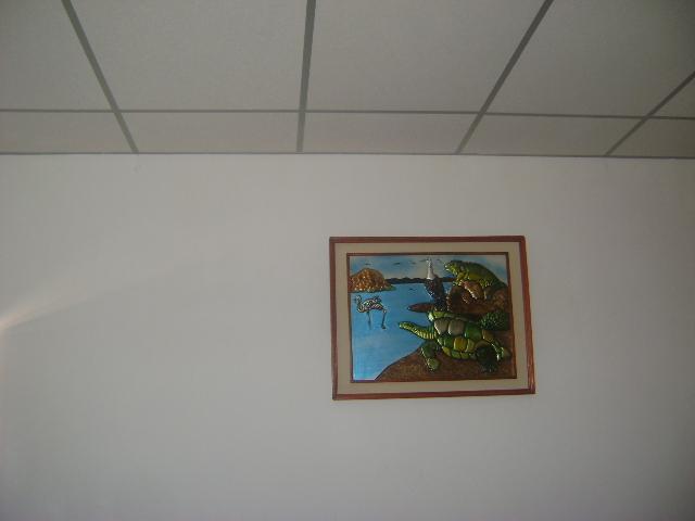 Las Gardenias Hotel Puerto Villamil Zewnętrze zdjęcie